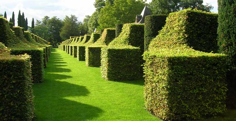 Gardener: Image 1